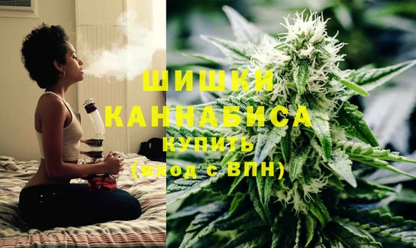 Альфа ПВП Гусиноозёрск