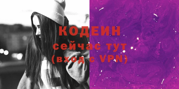 гашик Киренск
