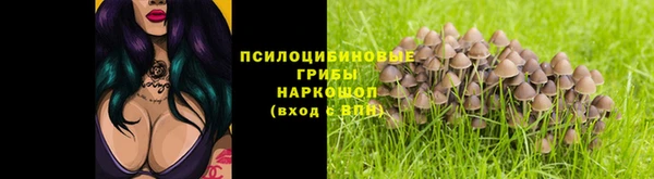 мдпв Дмитровск
