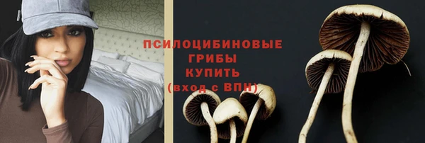 прущий лед Сосновый Бор