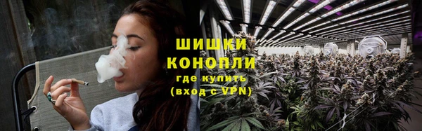 мдпв Дмитровск