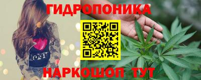твердый Лесосибирск