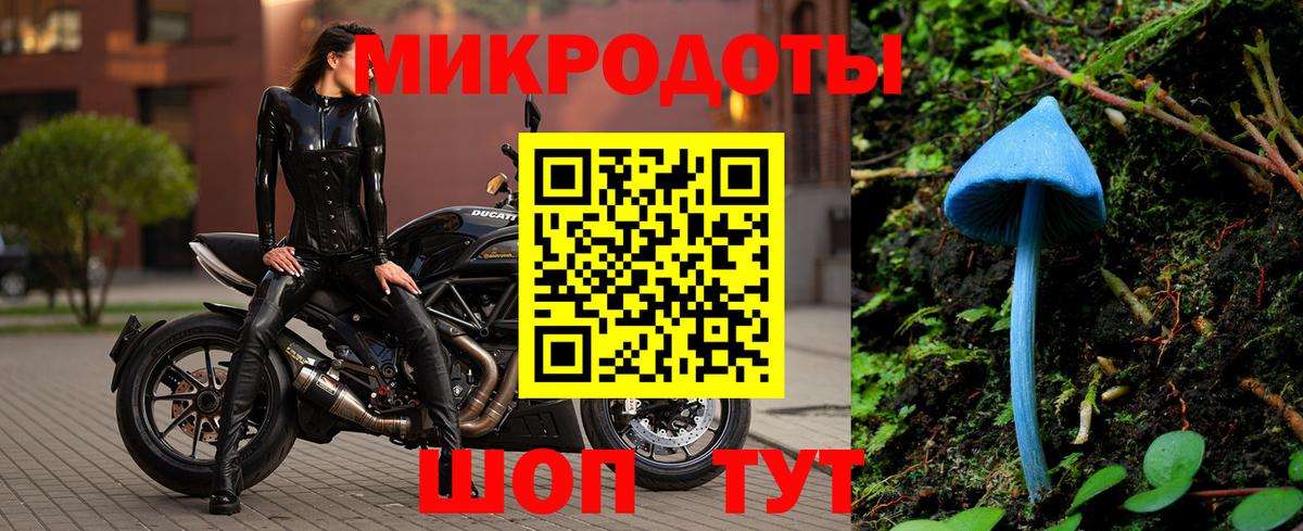 Ишимбай  Галлюциногенные грибы MAGIC MUSHROOMS  Вход с VPN  Псилоцибиновые грибы Psilocybine cubensis 